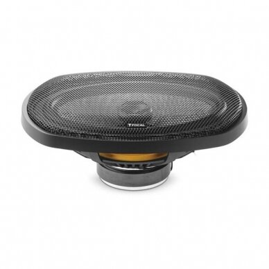 Focal 690 AC