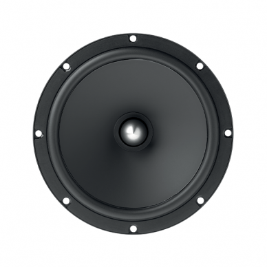 Focal ASE 165 S