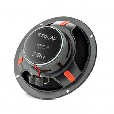 Focal ICU 165