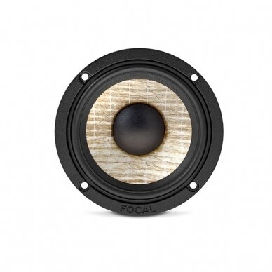 Focal PS 165 F3E