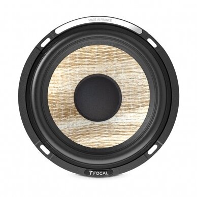 Focal PS 165 F3E