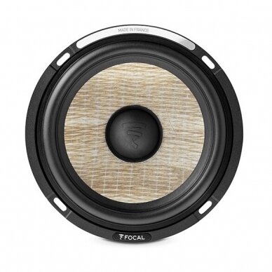 Focal PS 165 FSE 1